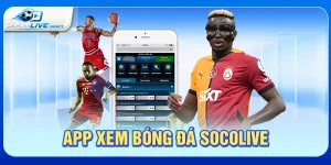 App xem bóng đá Socolive