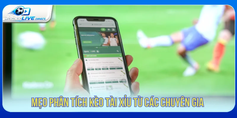 Dữ liệu cần xem trước khi phân tích kèo tài xỉu