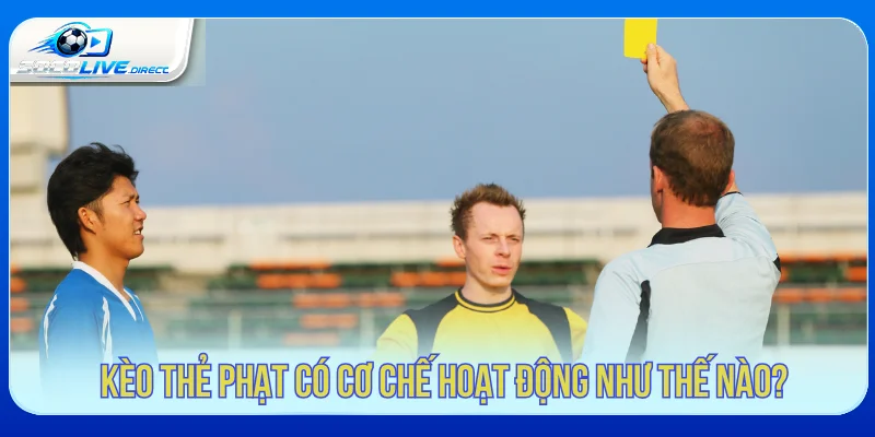 Kèo Thẻ Phạt Là Gì? Cách Đọc Và Phân Tích Chuẩn Kèo thẻ phạt là gì và cách đọc dữ liệu thẻ