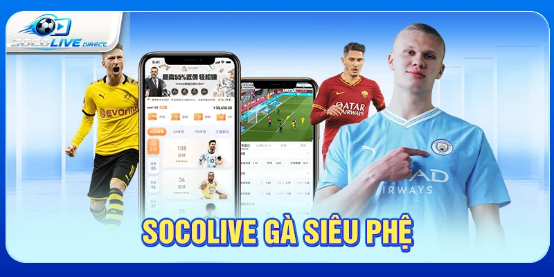Socolive Gà Siêu Phệ