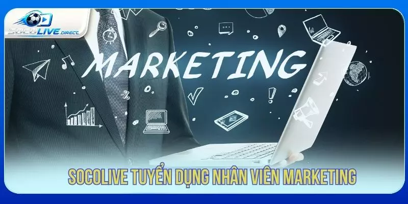 Socolive Tuyển Dụng - Cơ Hội Việc Làm Bóng Đá Vị trí marketing trong hệ thống Socolive