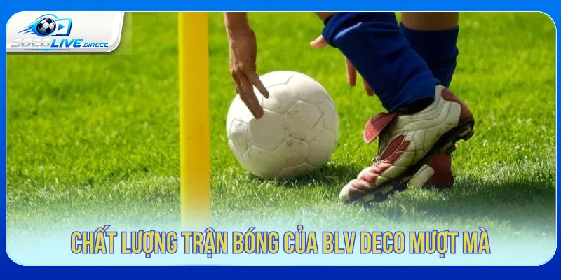 Trực Tiếp Bóng Đá Socolive BLV Deco - Dẫn Trận Cuốn Hút Phòng phát bóng đá có BLV Deco trên Socolive
